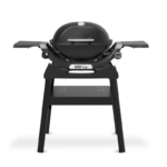 Weber Gasgrill Q