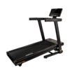 Darwin Laufband TM40