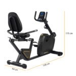 Darwin Recumbent Bike RB40 – Bild 2