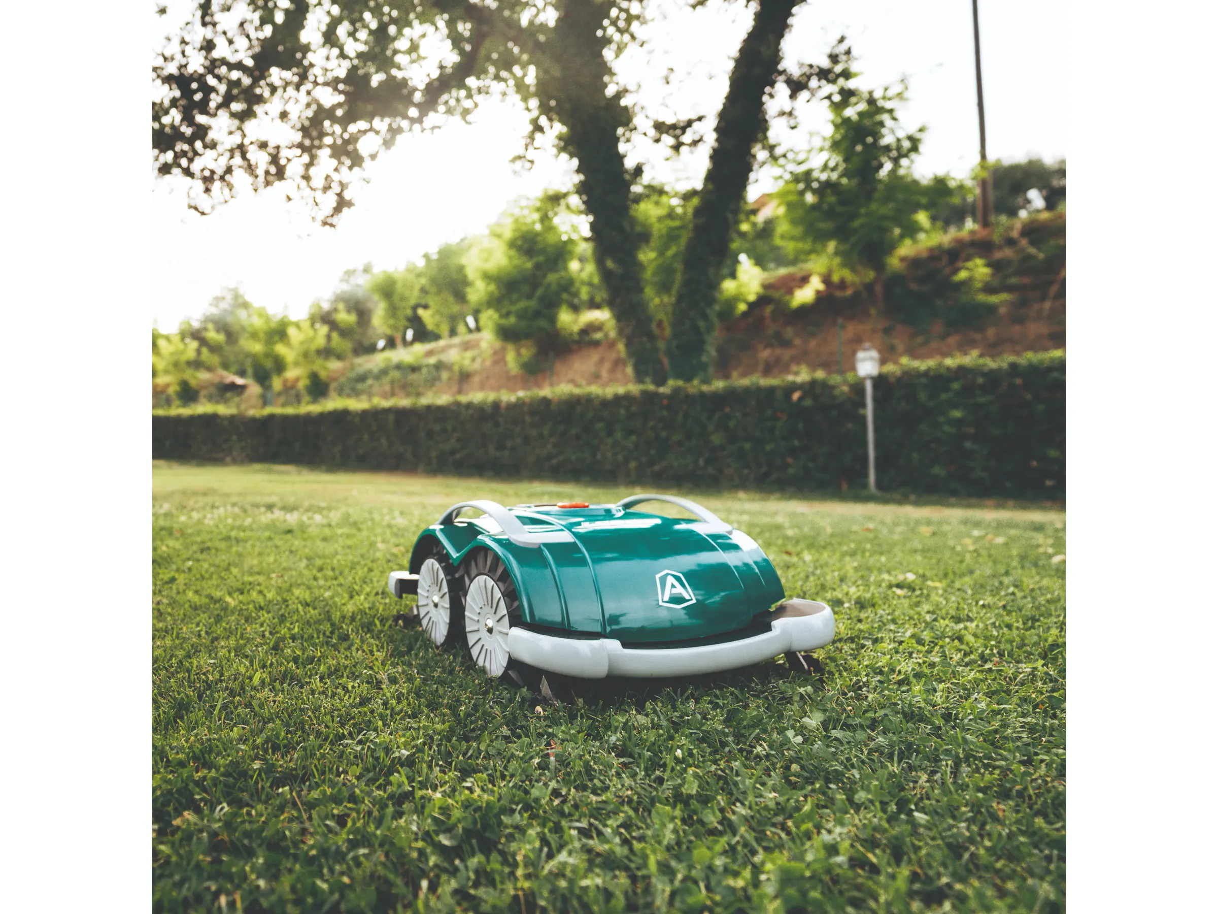 Ambrogio Mähroboter L60 Elite Grün-Grau – Bild 3