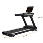 Taurus Laufband T10.3 Pro