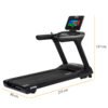 Taurus Laufband T10.3 HD Pro