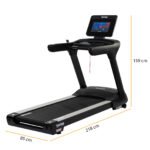 Taurus Laufband T9.9 Touch – Bild 2