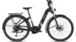 BESV TR 1.3 LS Trekking E-Bike 2025 Metallic umbra