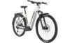 BESV TRX Urban 1.1 LS 720 Wh 29 Zoll Tiefeinsteiger