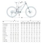 Orbea RISE LT M20 E-Mountainbike 2026 Cosmic Carbon Golden Sand (gloss) – Bild 2