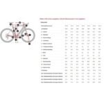 Trek Domane+ SLR 8 AXS Carbon E-Rennrad 2025 Carbon Red Smoke – Bild 2