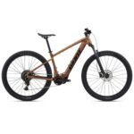 Giant TALON E+ GEN2 E-Mountainbike 29" 2025 meteor storm
