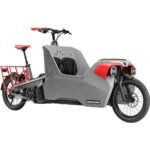 Cannondale WONDERWAGEN Neo 2 20" Elektro Lastenrad 2023 grey