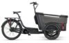 Batavus Fier-3 Env 500 Wh 20 Zoll Dreirad