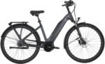 Carver Cityzen E.420 RT 500 Wh 28 Zoll Tiefeinsteiger – Bild 9