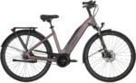 Carver Cityzen E.420 RT 500 Wh 28 Zoll Tiefeinsteiger – Bild 11