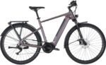 Carver Route E.520 625 Wh 28 Zoll Diamant 2026 – Bild 4