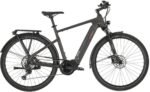 Carver Route E.530 625 Wh 28 Zoll Diamant 2026 – Bild 3