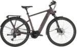 Carver Route E.530 625 Wh 28 Zoll Diamant 2026 – Bild 4