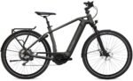 Flyer Gotour6 7.10 625 Wh 28 Zoll Diamant – Bild 10