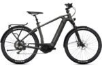 Flyer Gotour6 7.12 625 Wh 28 Zoll Diamant