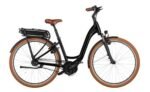 Riese und Müller Swing4 silent 500 Wh 28 Zoll Tiefeinsteiger 2026 – Bild 2