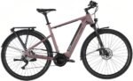 Route E.510 Carver 500 Wh 28 Zoll Diamant 2026 – Bild 2