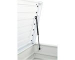 Biohort FreizeitBox 100 Auflagenbox 193 l inkl. Gasdruckfedern 101 x 46 x 61 cm weiß – Bild 5