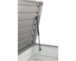 Auflagenbox Biohort FreizeitBox 100 193 l inkl. Gasdruckfedern 101 x 46 x 61 cm bronze-metallic – Bild 2