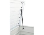 Auflagenbox Biohort FreizeitBox 130 441 l inkl. Gasdruckfedern 134 x 62 x 71 cm weiß – Bild 5