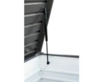 Auflagenbox Biohort FreizeitBox 160 High 830 l inkl. Gasdruckfedern 159 x 79 x 83 cm dunkelgrau-metallic – Bild 3