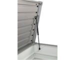 Biohort 160 FreizeitBox Auflagenbox 830 l inkl. Gasdruckfedern 160 x 79 x 83 cm bronze-metallic – Bild 2