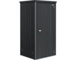 Geräteschrank Biohort Gr 90 mit Regalböden und Gerätehalter, 93 x 83 x 182,5 cm dunkelgrau-metallic
