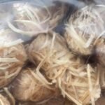 Ökologischer Feueranzünder 110 Stück natürliche Holzwolle – Bild 2