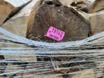 Brennholz aus Eiche, 30 cm, trockene Scheite auf Palette – Bild 3